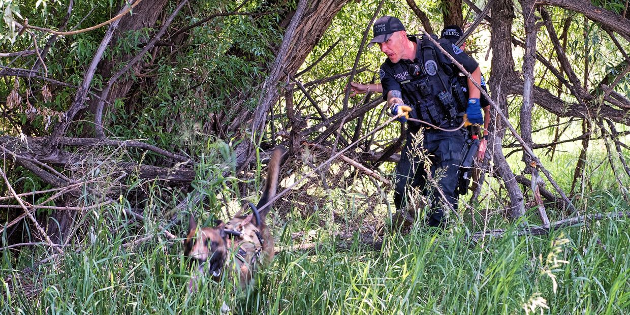 Basic Training Syllabus Eden K9 Group